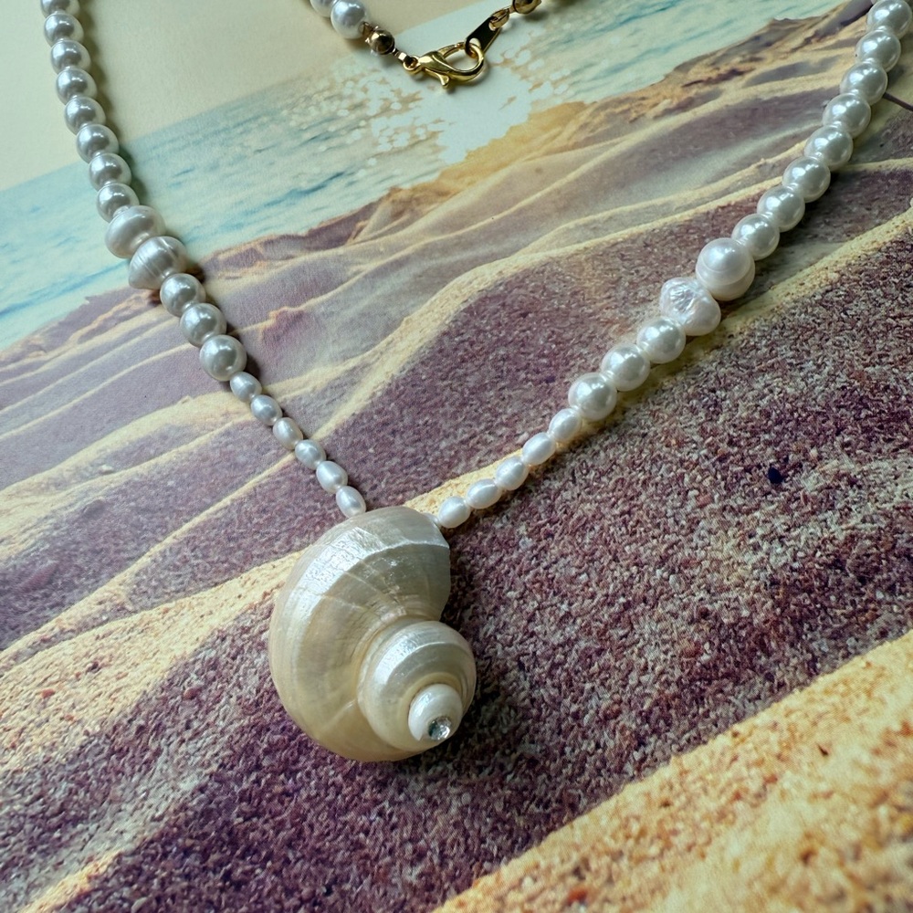 Seashell Necklace - Picture 2 of 3